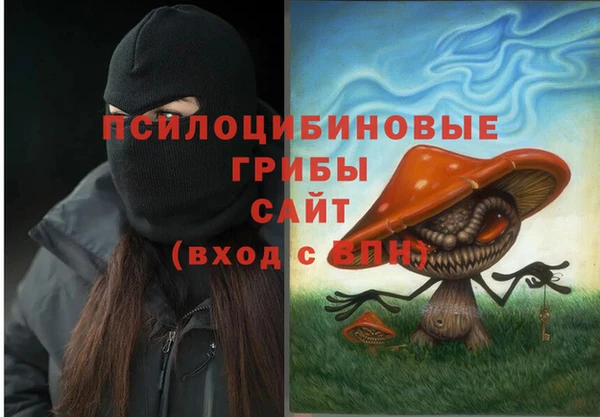 спиды Абаза