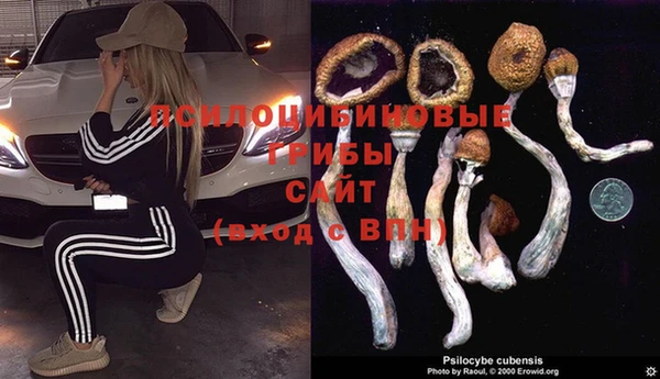 прущая мука Абинск