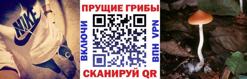 Псилоцибиновые грибы мухоморы  Сальск 