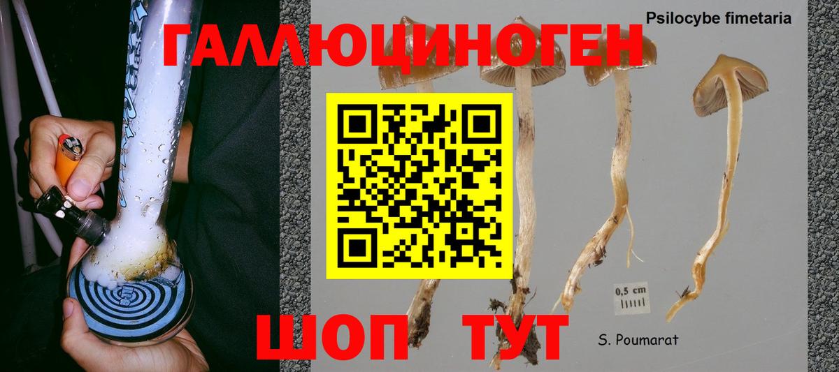 Галлюциногенные грибы прущие грибы  Вход с VPN  Сальск  Галлюциногенные грибы MAGIC MUSHROOMS 