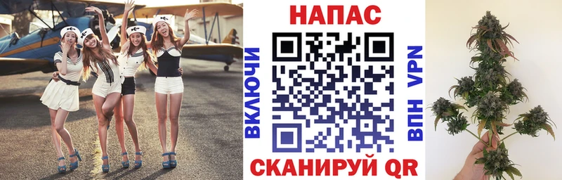 Бошки марихуана гибрид  Сальск 